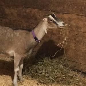 Meet your Posher, Aiden